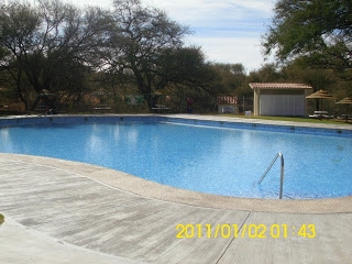 Area de adultos